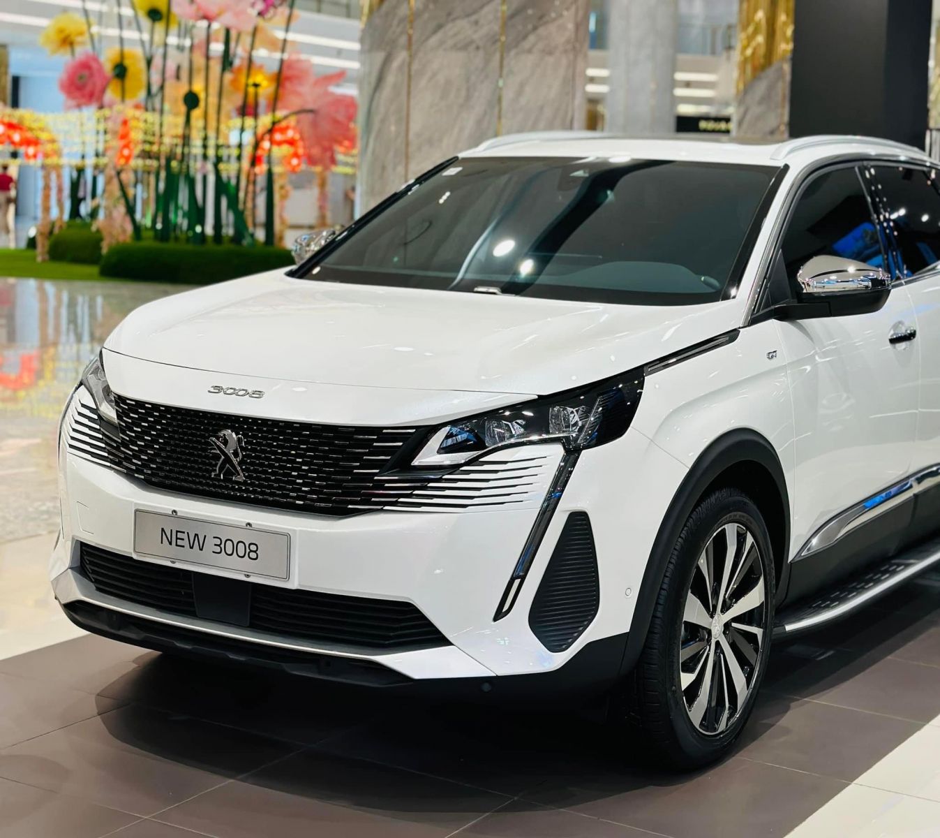 peugeot ninh bình